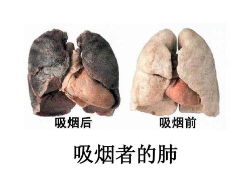 u=2527866362,1022490891&fm=26&gp=0.jpg